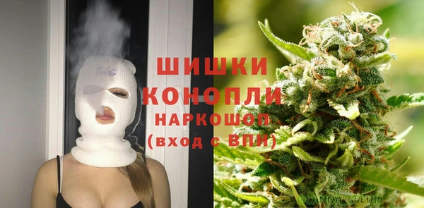 стаф Балахна