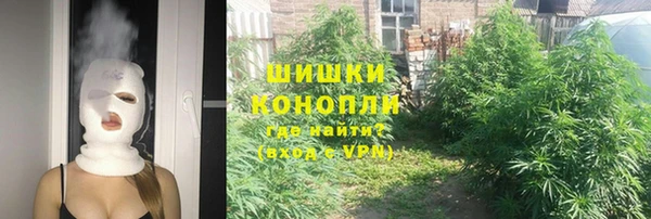 стаф Балахна