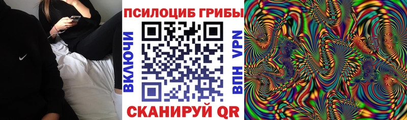 Псилоцибиновые грибы мицелий  Купить закладки  Лабинск 